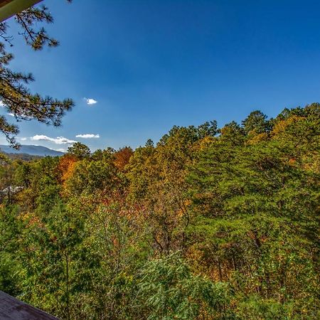 Ladybug Resort Romantic Cabin With Mountain Views, Game Room, Close To Dollywood เซอเวียร์วีล ภายนอก รูปภาพ