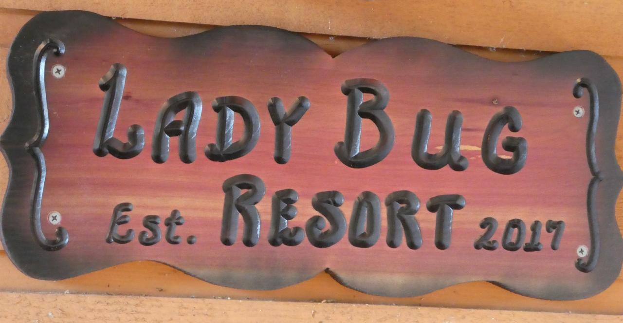 Ladybug Resort Romantic Cabin With Mountain Views, Game Room, Close To Dollywood เซอเวียร์วีล ภายนอก รูปภาพ